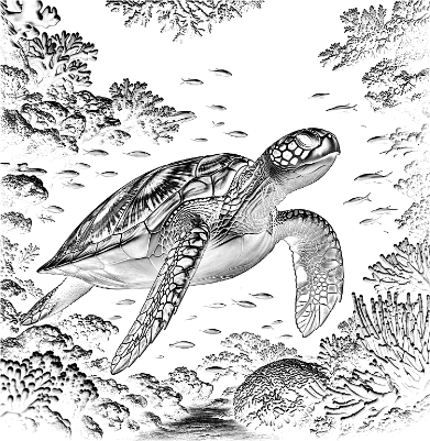 atommseaturtle.xs