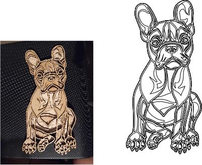 chien mignon.xs