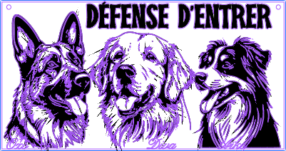 NOS CHIENS..xs