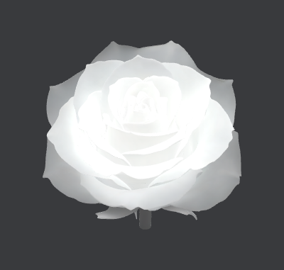 Rose for Atomm.xs