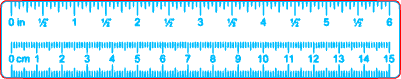 6 inch ruler.xs