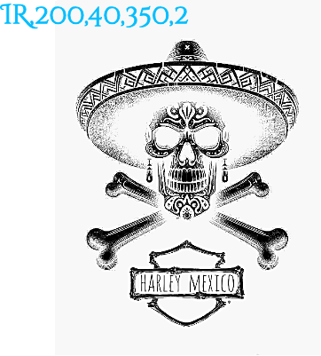 Harley Mexico.xs