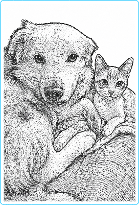 finnghostportrait.xs