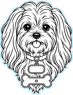 Maltese leash hook.xs