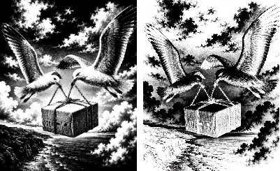 Mouettes et goélands.xs