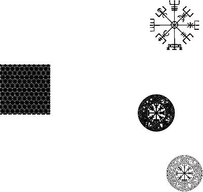 vegvisir.xs