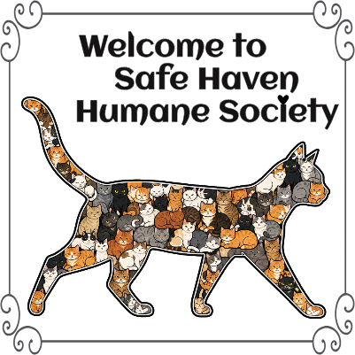 Safe Haven sign.xs