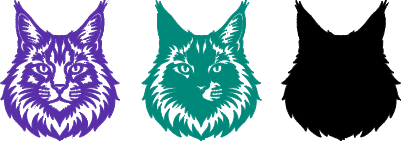 Main Coon.xs