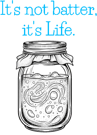 Sourdough Jar.xs