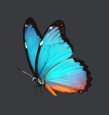 Butterfly.xs