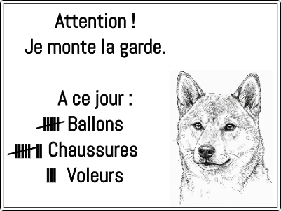 Plaque chien.xs