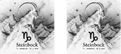 Steinbock.xs