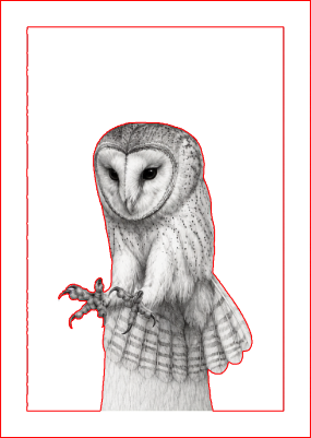 barn owl picture frame.xs