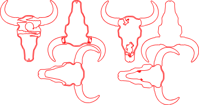 cowboy bull head.xs