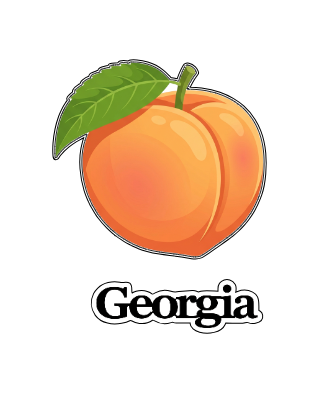 ga_peach_magnet.xs