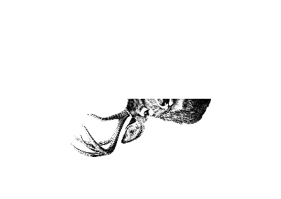 Untitled(8).xs