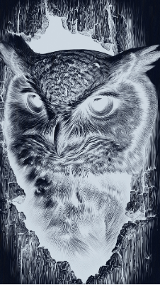 hibou mirroir.xs