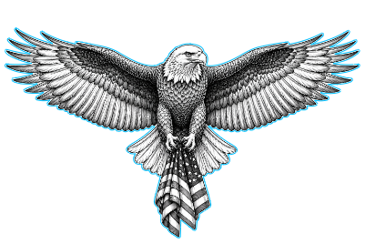 19x13 Eagle.xs