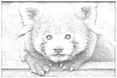 PandaRoux.xs