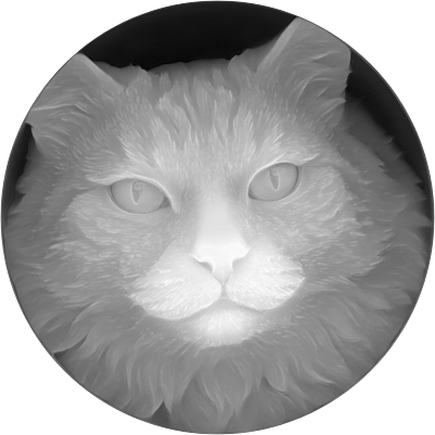 cat.xs