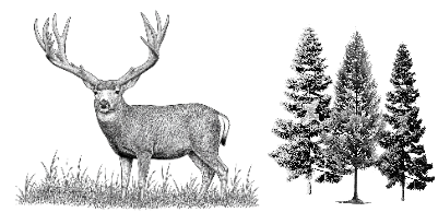 elk 2.xs