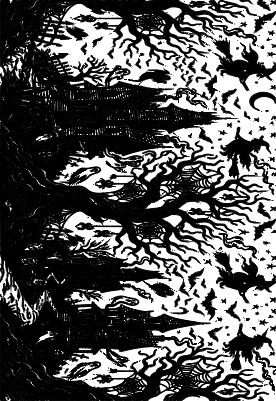 SPOOKYWRAP_F1.xs