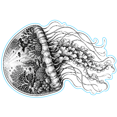 meduse marine.xs