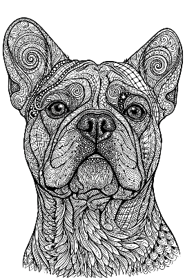 arlo zentangle.xs