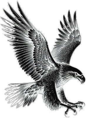eagle.xs