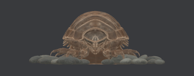 Isopod.xs
