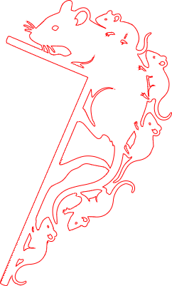 Ratten auf Türrahmen.xs