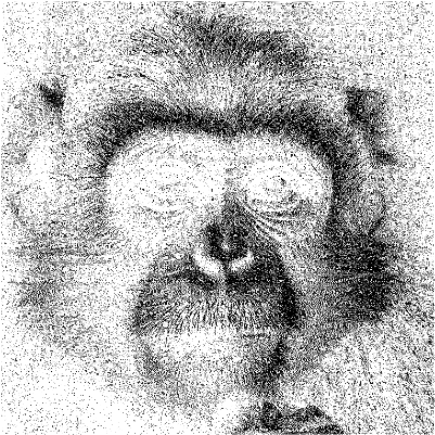 Singe.xs