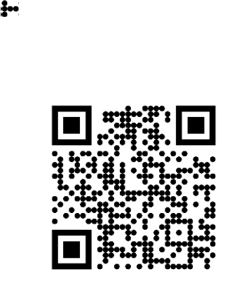 Palstik durchsichtig QR code.xs