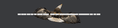 Adler.xs