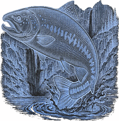 trout.waterfall.xs