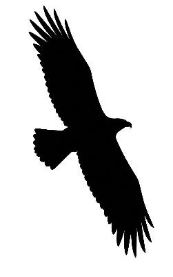 Eagle Silluette.xs