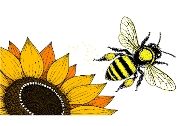Bee and Sunflower.xs