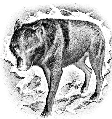 Jura of KonavleWolves.xs