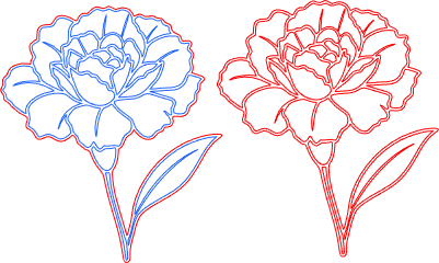 Anjer_Carnation.xs
