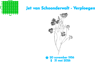 grafsteen ontwerp Jet schoonderwalt.xs