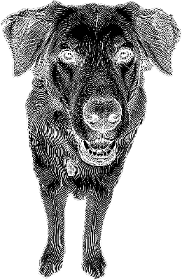 Emry Frame.xs