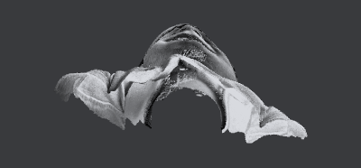 3d reg.xs
