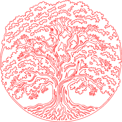 Arbre Généalogique.xs