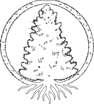 Couronne de Noël.xs