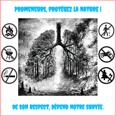Projet protection des forêts.xs