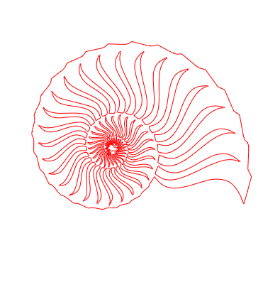 CONCHIGLIA 2.xs