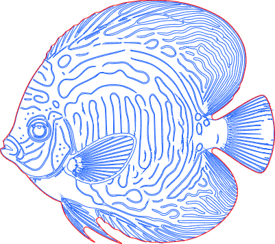 PESCE 6 INCISIONE E INTAGLIO PIOPPO 3 MM.xs