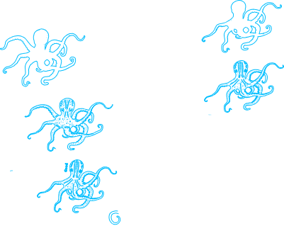 My own Octo file.xs
