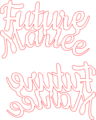 Déco serre-tête EVJF future Mariée.xs