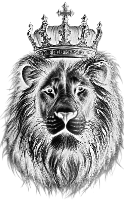 lion on black steal tag.xs